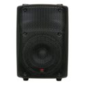 GPS-8 Powered 200 Watt Speaker and Monitor